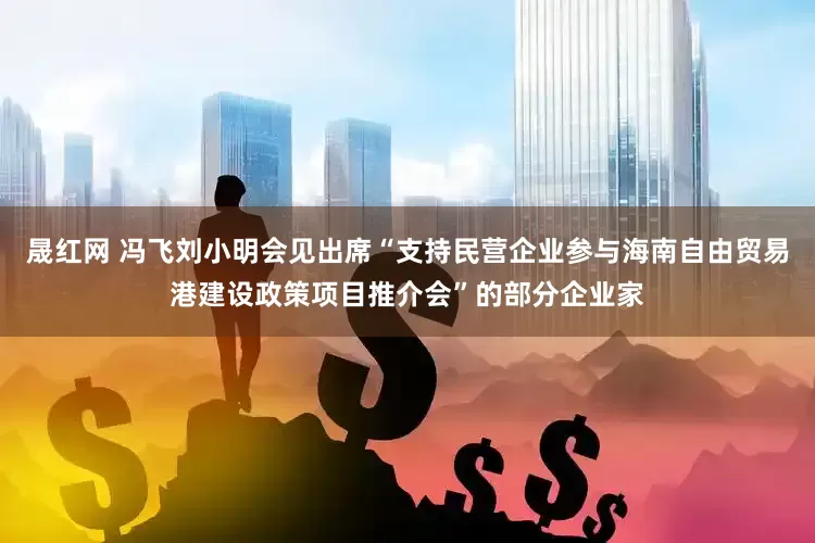 晟红网 冯飞刘小明会见出席“支持民营企业参与海南自由贸易港建设政策项目推介会”的部分企业家